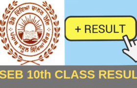 punjab board 10th class result 2019