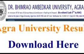 agra university result 2019