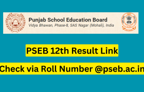pseb 12th result 2023