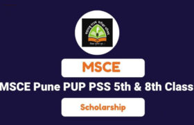 msce pune scholarship answer key