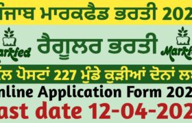 punjab markfed recruitment