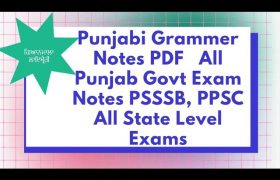 punjabi grammar pdf notes