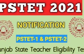 pstet notification