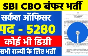 sbi recruitment circle based officer