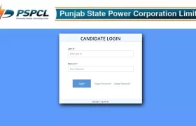 pspcl admit card 2024