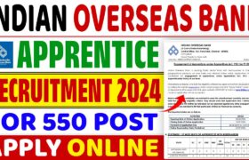 iob bank recruitment apprentice